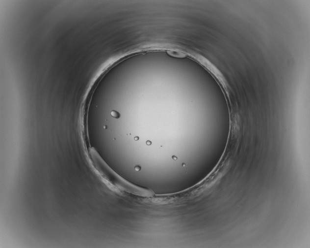 X0000115851005200911201610