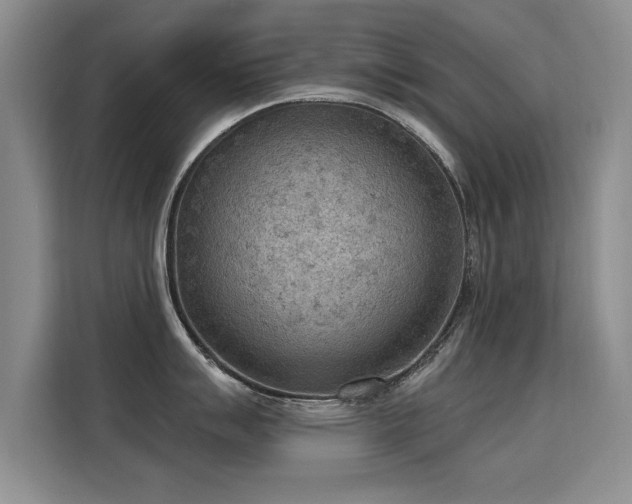 X0000115851007200911201610
