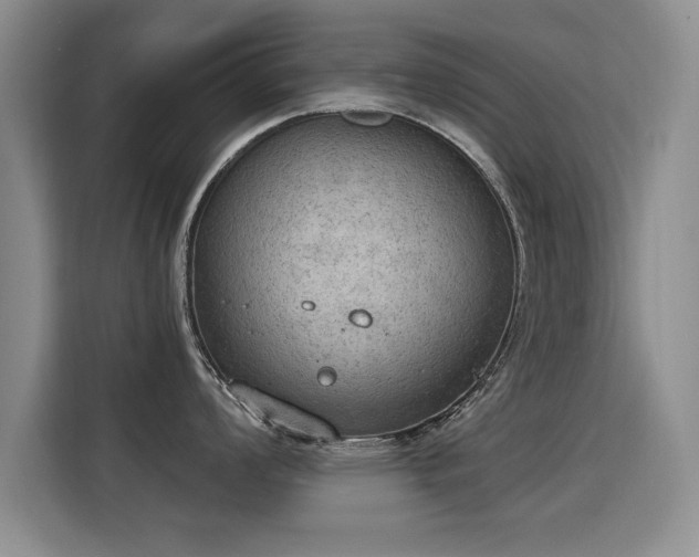 X0000115851008200911201610