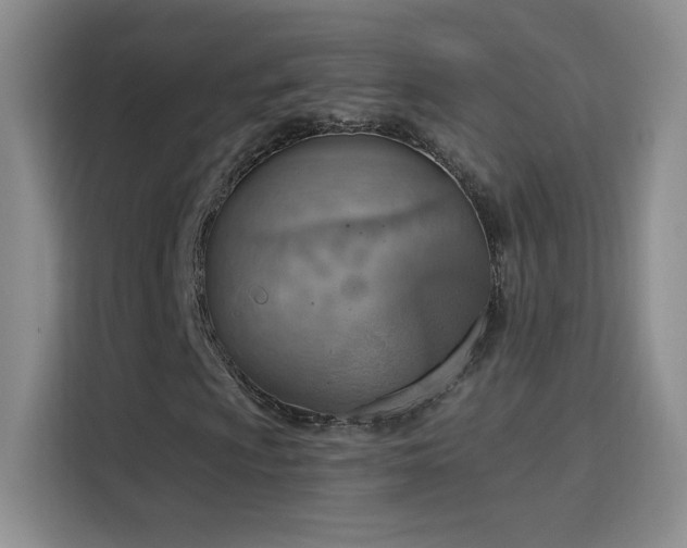 X0000115851009200911201609