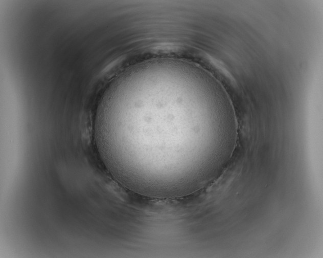 X0000115851015200911201609
