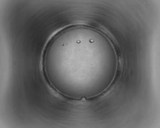 X0000115851020200911201609