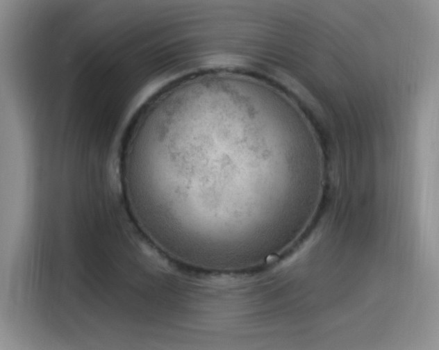 X0000115851022200911201609