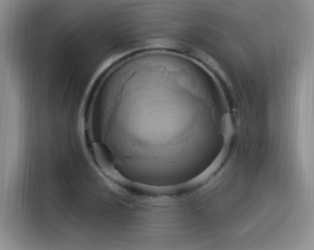X0000115851024200911201609