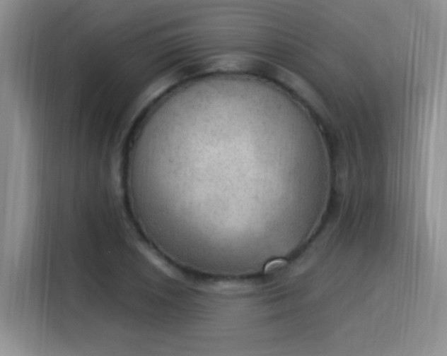 X0000115851026200911201609