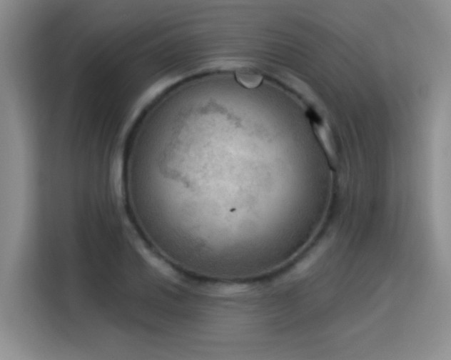 X0000115851030200911201609