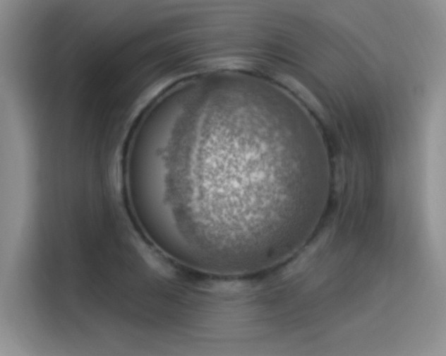 X0000115851031200911201609