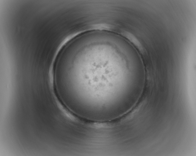 X0000115851032200911201609