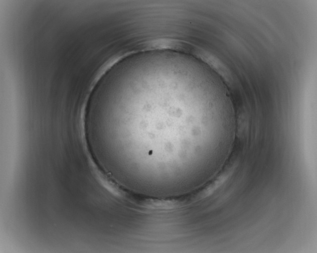 X0000115851039200911201609