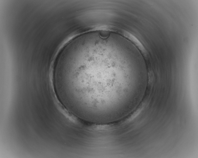 X0000115851043200911201609
