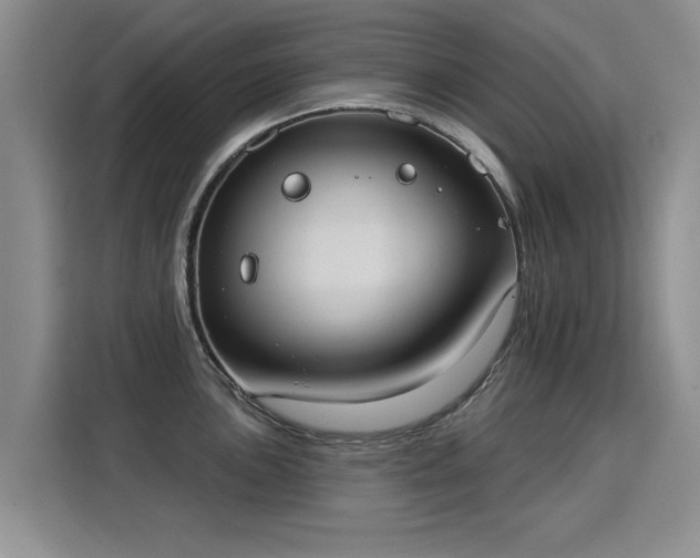 X0000115851051200911201609