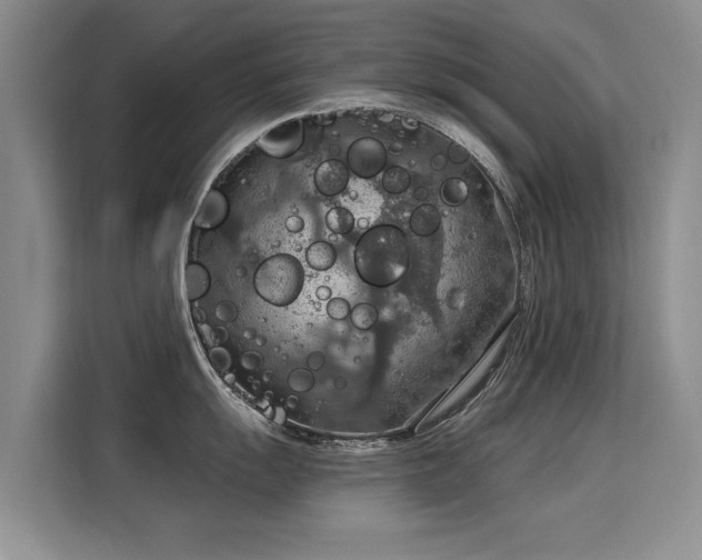 X0000115851055200911201610