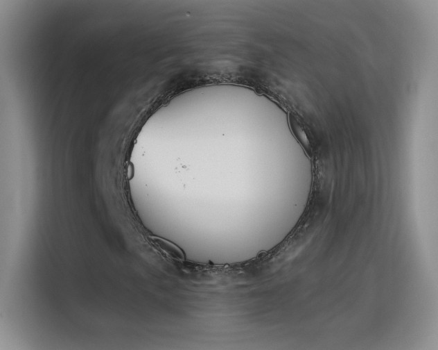 X0000115851057200911201609