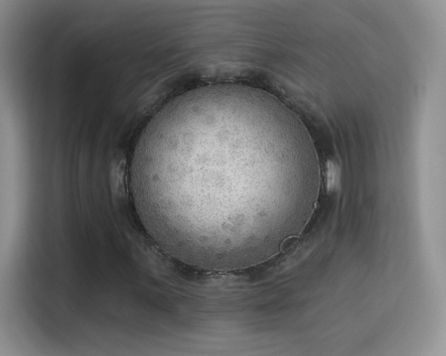 X0000115851059200911201609