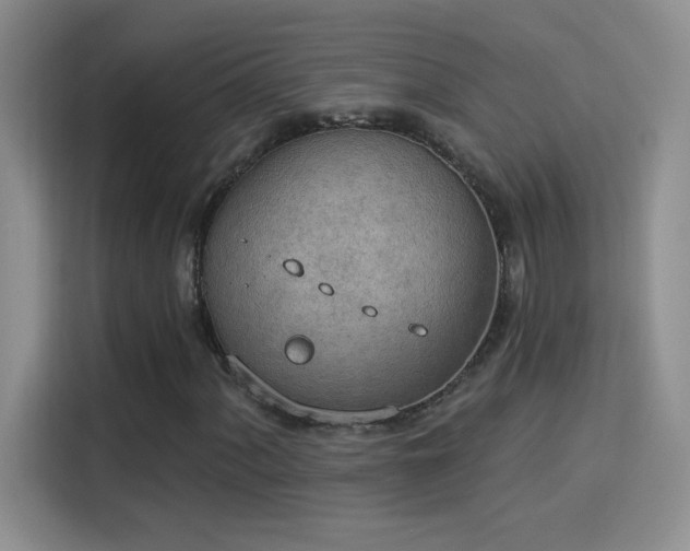 X0000115851060200911201609