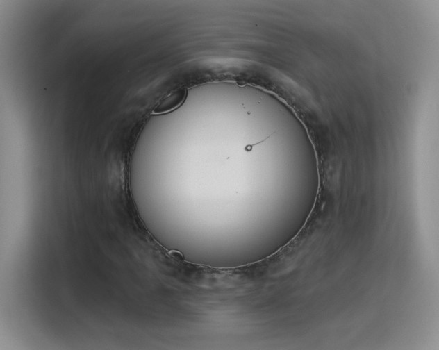 X0000115851061200911201609