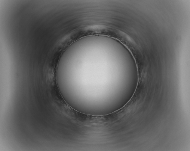 X0000115851062200911201609