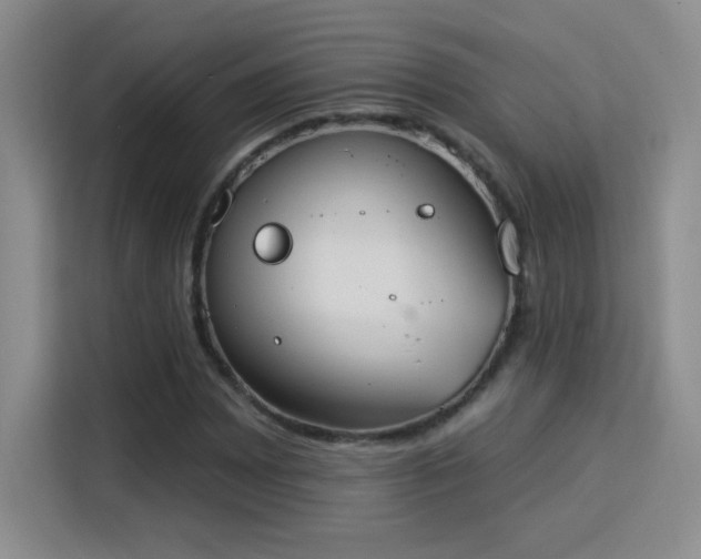 X0000115851065200911201609