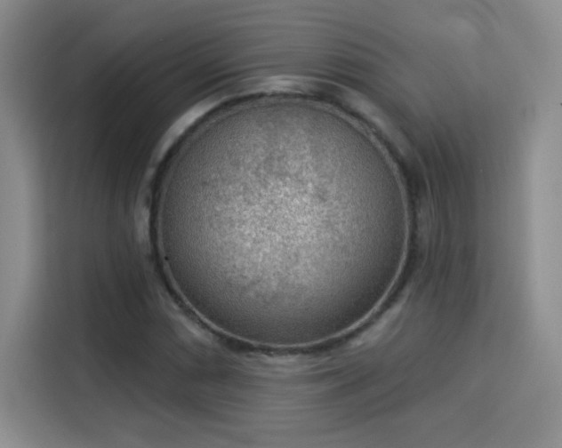 X0000115851066200911201609