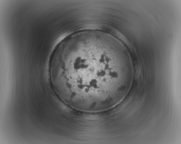 X0000115851071200911201609