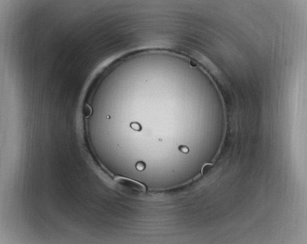 X0000115851072200911201609