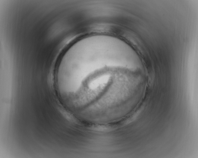 X0000115851074200911201609