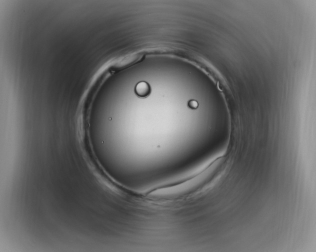 X0000115851075200911201609