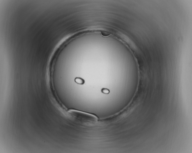 X0000115851076200911201609
