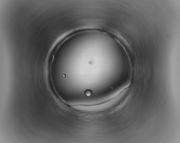 X0000115851077200911201609