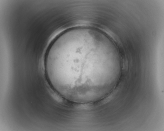 X0000115851078200911201609