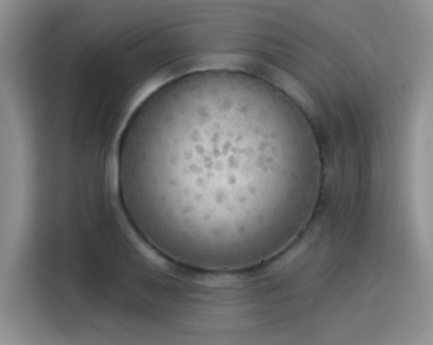 X0000115851079200911201609