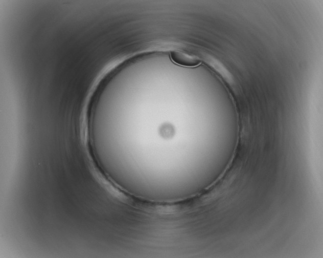 X0000115851080200911201609