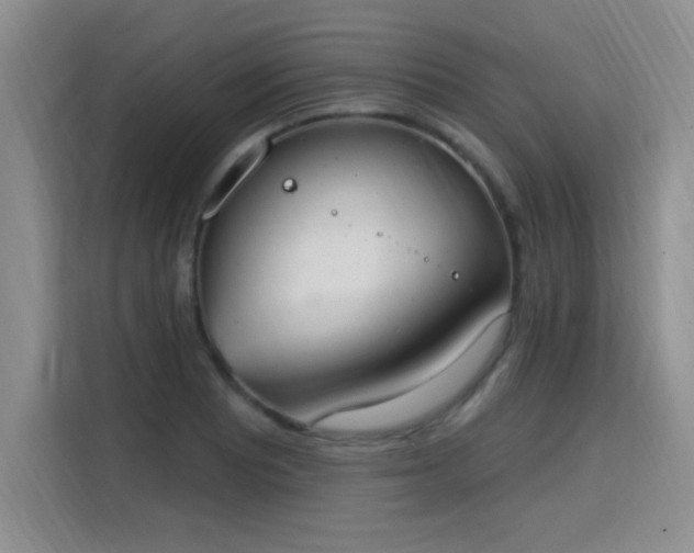 X0000115851081200911201609