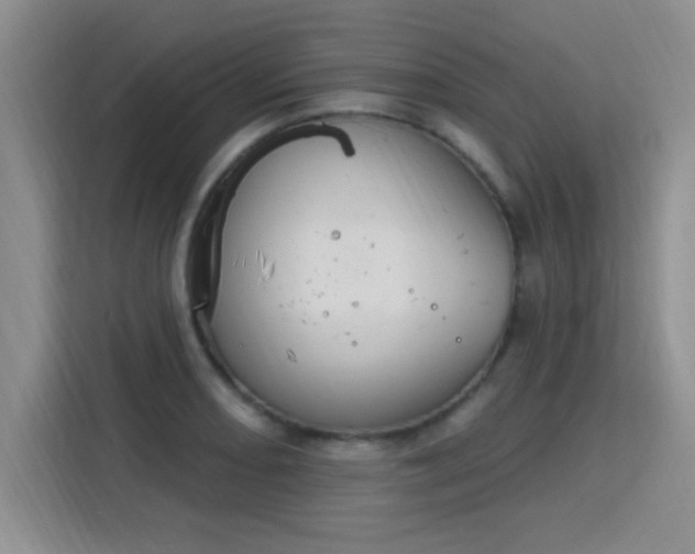 X0000115851082200911201609