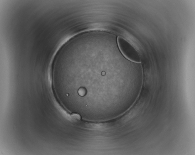 X0000115851084200911201609