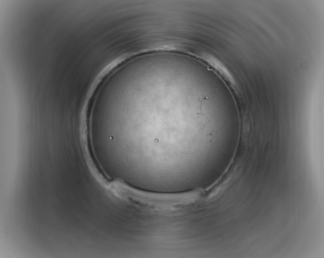 X0000115851088200911201608