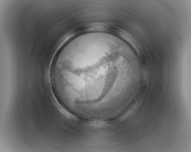 X0000115851090200911201608