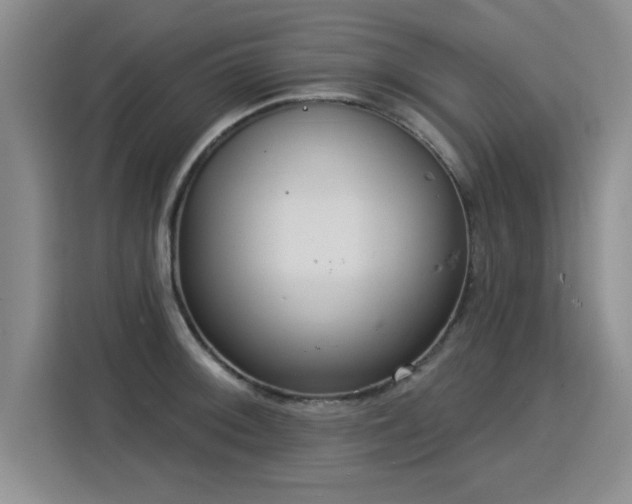 X0000115851092200911201608