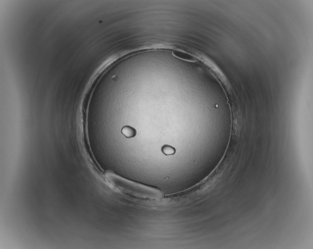 X0000115851096200911201608