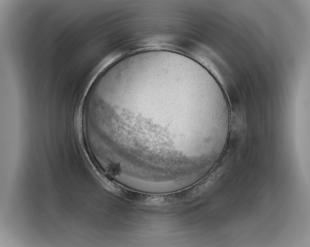 X0000115851098200911201608