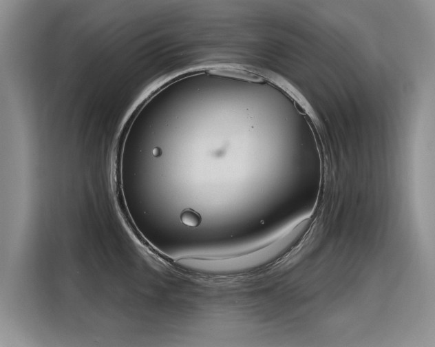 X0000115851101200911201608