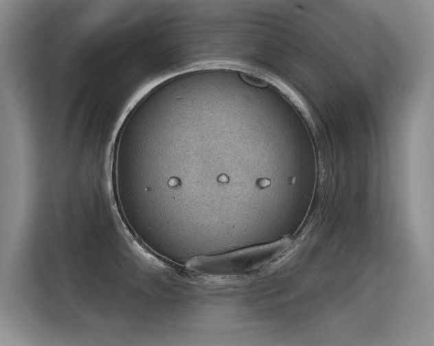X0000115851102200911201608