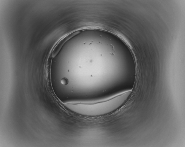 X0000115851104200911201608