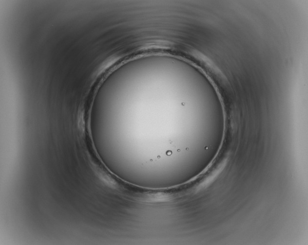 X0000115851113200911201608