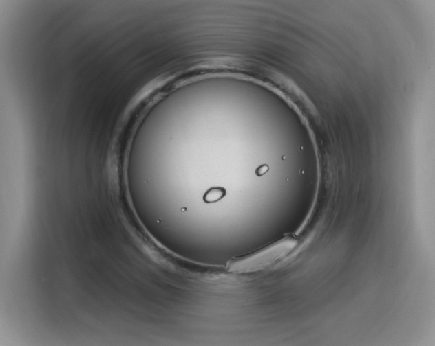 X0000115851114200911201608