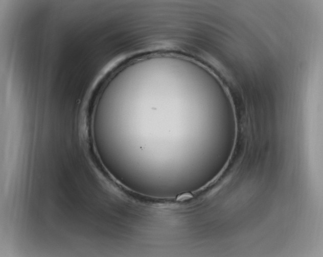 X0000115851118200911201608