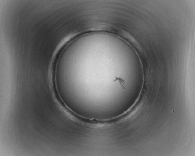 X0000115851122200911201608