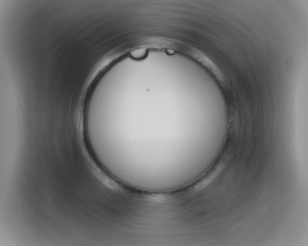 X0000115851130200911201608