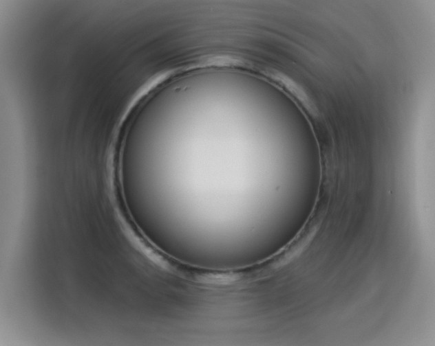 X0000115851134200911201608