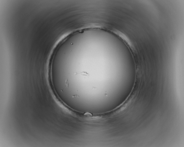 X0000115851135200911201608